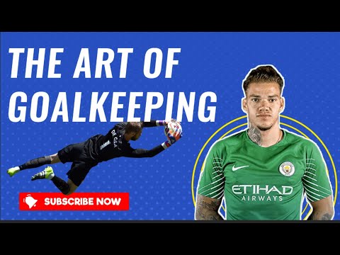 The Art Of Goalkeeping | Best Premier League Goalkeeper Saves