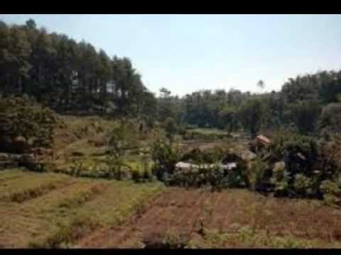 Maurice De La Croix - Goro Goro Ne