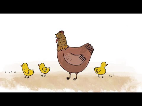 Ven, crea conmigo | Juegos | Encuentra a los pollitos