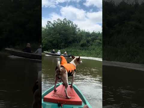 Caique no rio dos bois