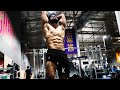 Temple of Aesthetics | Natural Bodybuilding Motivation