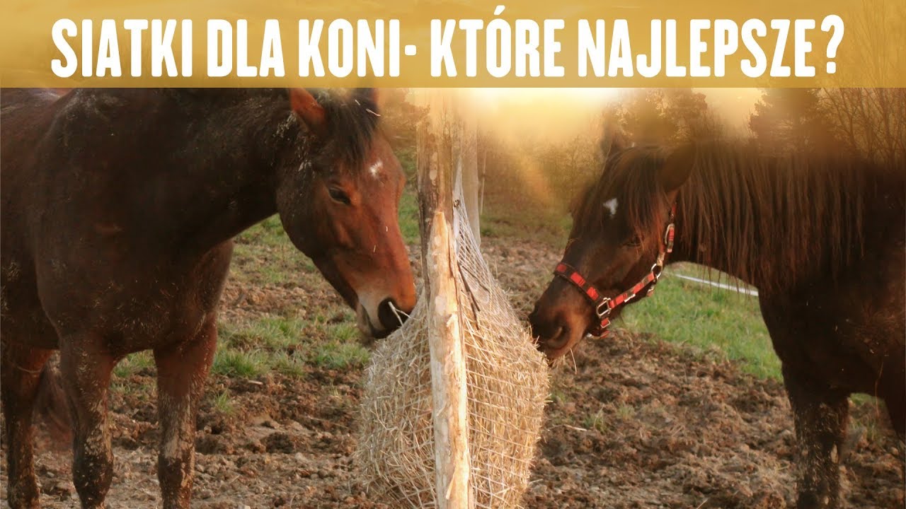 SIATKI DLA KONI - KTÓRE NAJLEPSZE Cz.1 Konie Naturalna Hodowla