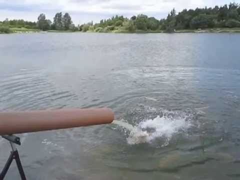400 kg. Guldørred 28.juni