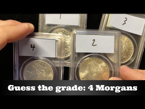 In-depth look 4 High Grade PCGS Morgan Dollars - Which one is not like the others? - Guess the Grade