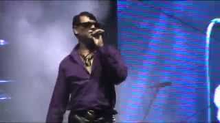 Maciej Maleńczuk & Psychodancing - Reinkarnacja (nowy utwór ! )@ Cieszanów Rock Festiwal 2014