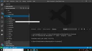 Download the video "Micro Frontends, Rendering React, Angular, Vue"