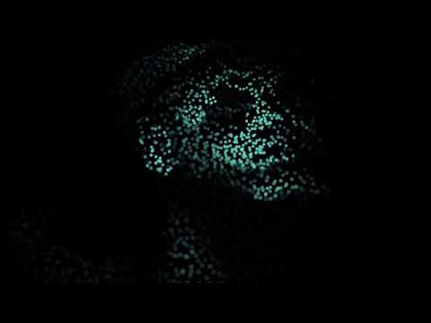 Best of Psychedelic Trance 2021-2022 - Forest / Twilight / Night / Dark / Psytrance ~ Gravel Mix 1