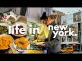 A Busy Festive Few Days In Our Life Living In New York City