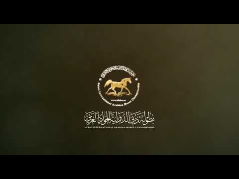 Dubai International Arabian Horse Championship 21-23 march 2019