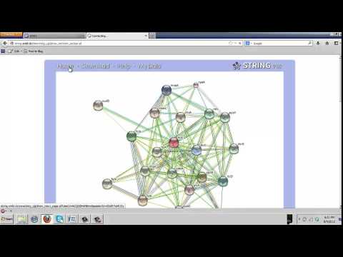 Lecture 2  Using Comparative Genomics Resources
