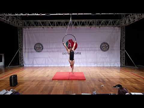 Mexico Artistic Hoop Professsional Senior Men Gerardo Rosas