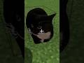 Er Hat ALLES Für DABLOONS Ausgegeben Minecraftshorts Dabloons Maxwell