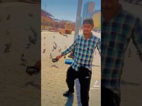 🇦🇪Deria dubai🇦🇪 beach nice 👍 teradeep