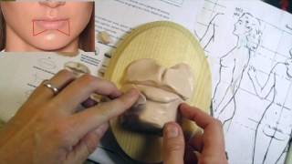 DIY- How to Sculp a Mouth- Anatomy and Sculpting Tips