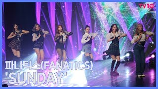 [TV TEN] Группа FANATICS провела шоукейс своего первого миниальбома THE SIX