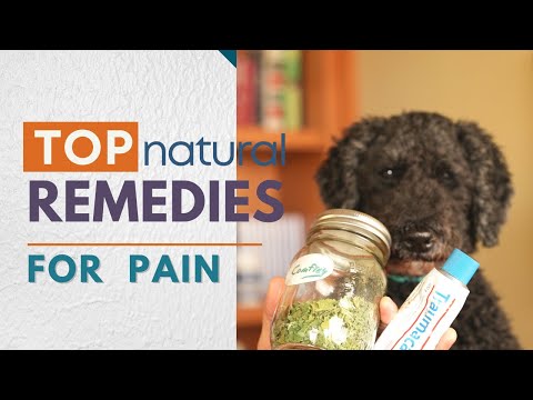 Best 5 Natural Remedies for Pain and Inflammation