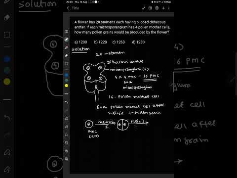 A flower has 20 stamens, each having bye bilobed diethecious andher. If each