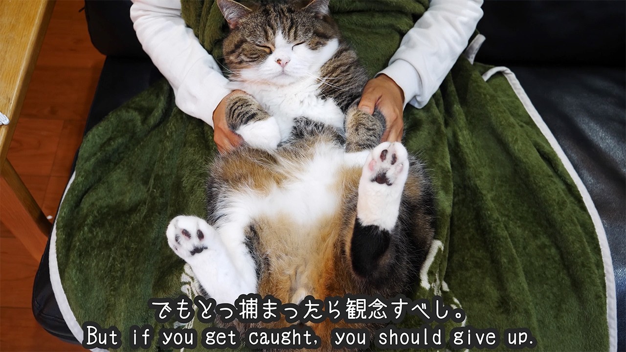 まるさんの教え。-Maru's teachings.-