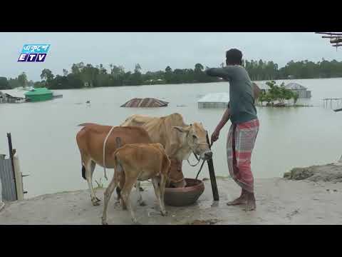 ভারী বৃষ্টির প্রবণতা কিছুটা কমে এসেছে