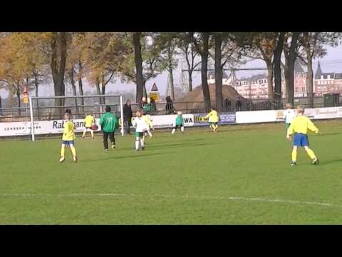 Brandevoort f7 - Mulo