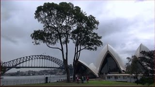 preview picture of video 'INAUGURAL SYDNEY HARBOUR & COAST WALK - DAY 22 - THE ROCKS TO ELIZABETH BAY'
