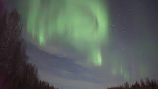 Aurora borealis, или Cтечение обстоятельств