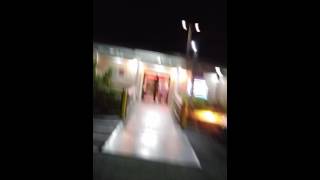 Look at all these CATS!!!