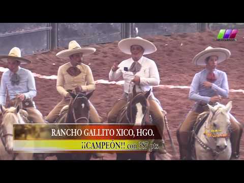 DLM278 080220 Bloque 4 - 3 Torneo Guadalupano Pachuca 2019 Rancho Gallito Xico