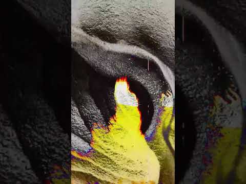 Metamorfoza (Teaser)