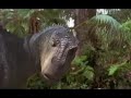 Dinosaur 2000 TV Spot 8 Now Playing