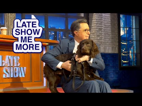 LATE SHOW ME MORE: Purell, Baby!