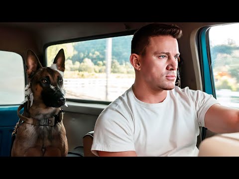 American Armed Forces officer gets stuck with a Professional Assassin Dog