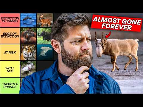 25 More Animals That Are About To Go Extinct