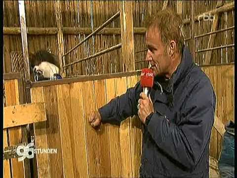 96 Stunden Falkenberg5.mpg