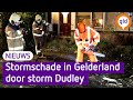 Storm Dudley laat een spoor achter van schade