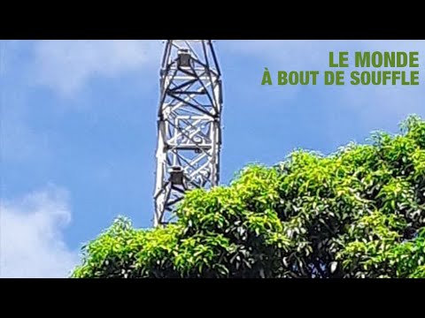 Série quotidienne confinement