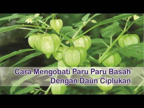 Memperkuat obat potensi Apakah potensi rokok