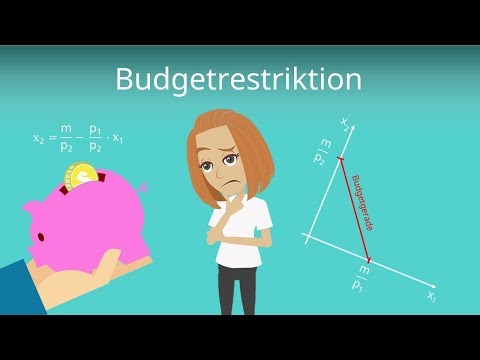 Budgetrestriktion / Budgetgerade - einfach erklärt für Wiwis