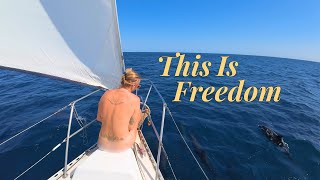 Our Most Relaxed Sail Yet - Sailing It's The Truth Ep. 133