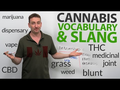 YouTubeが知らないと困る英単語＆スラング! (English vocabulary & slang that YouTube doesn't want you to know!)