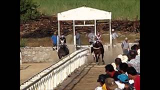 EL RETINTO VS EL MORO