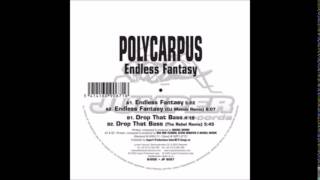 Polycarpus - Endless Fantasy
