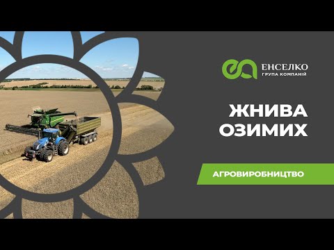 Обкладинка відео