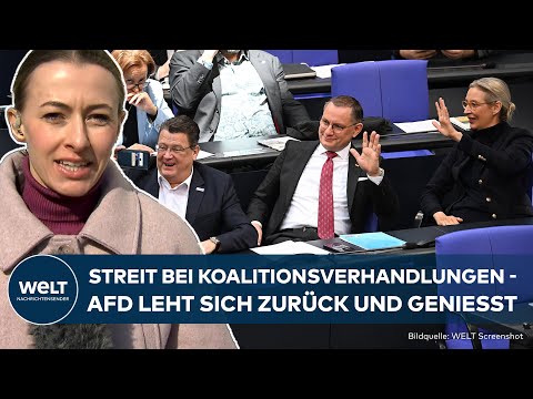 AFD IM AUFWIND: Merz-Union und SPD ringen um Kompromiss - Migration und Finanzen als Streitpunkte