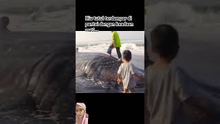 Download lagu terjadi di Lumajang jawa timur #shortvideo #shorts #beritaterkini #berita mp3