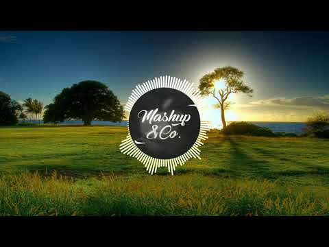 Alesso VS OneRepublic VS Martin Garrix - If I Lose Myself (Alesso Remix) x Forbidden Voices