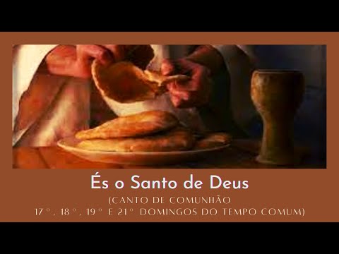 ÉS O SANTO DE DEUS (17º, 18º, 19º e 21º Domingo - Ano B) - CATÓLICA