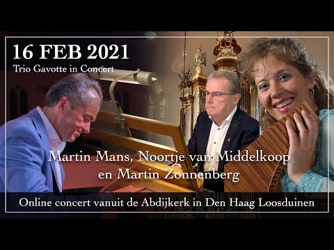 Online concert door Martin Mans, Martin Zonnenberg en Noortje van Middelkoop