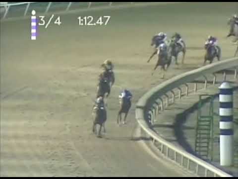 Clasico del Caribe 2000  My Own Business VEN