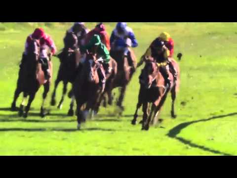 2015.09.20 Täby Open Sprint (SWE) - Easy Road